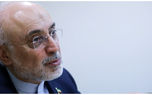 اقتصادنیوز: رییس سابق سازمان انرژی اتمی درخصوص شهید امیرعبداللهیان گفت:...